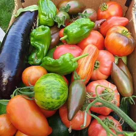 Le Refuge Des Chouettes * Saint-Vaast-la-Hougue