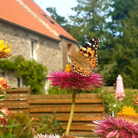 Holiday home Le Refuge Des Chouettes Saint-Vaast-la-Hougue