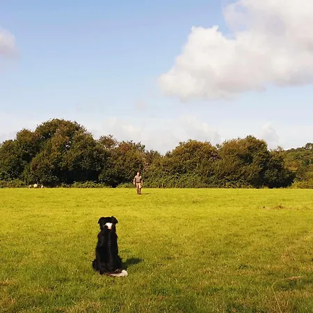 Le Refuge Des Chouettes * Сен-Вааст-ла-Уг