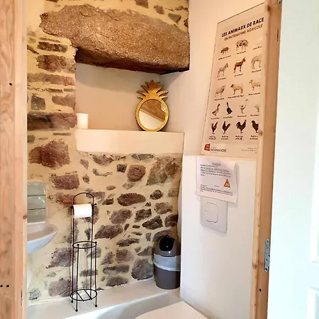 Le Refuge Des Chouettes *