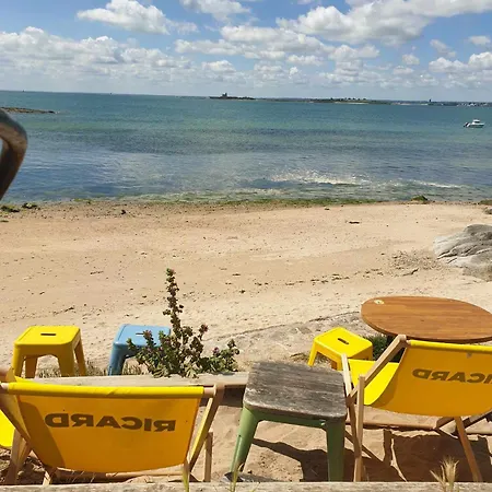 Le Refuge Des Chouettes *