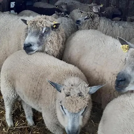 Le Refuge Des Chouettes Ferienhaus *