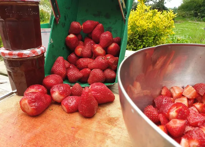 Le Refuge Des Chouettes Saint-Vaast-la-Hougue