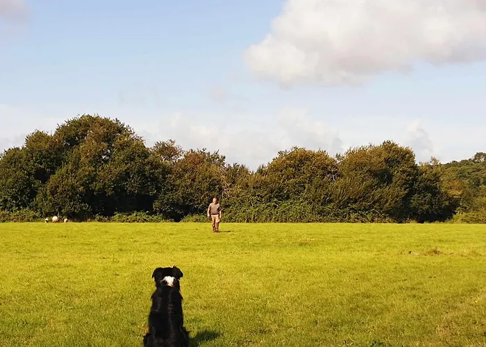Le Refuge Des Chouettes * Saint-Vaast-la-Hougue