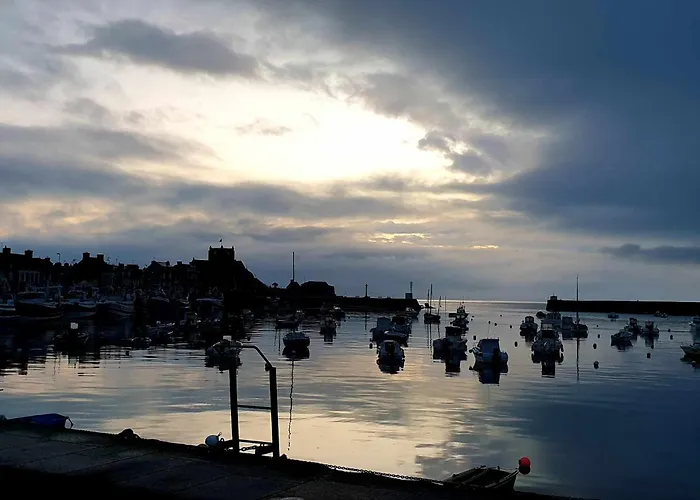 Le Refuge Des Chouettes *