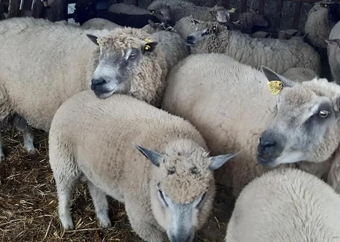 Le Refuge Des Chouettes Casa vacanze *