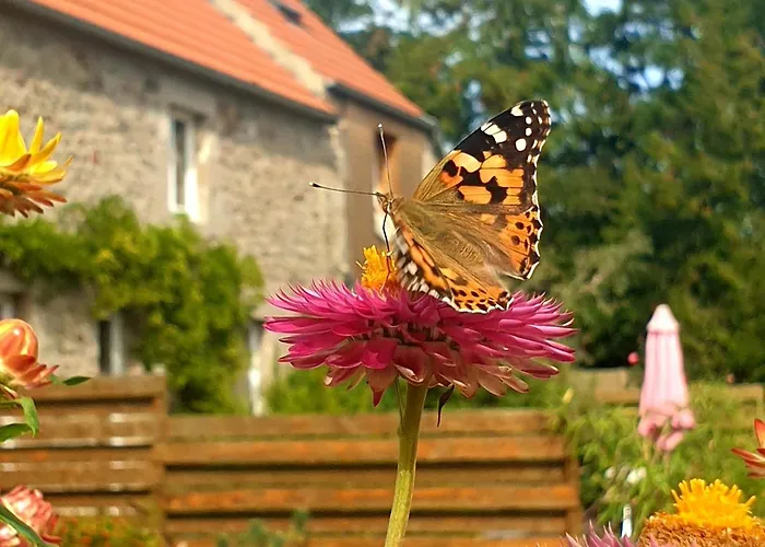 Casa vacanze Le Refuge Des Chouettes Saint-Vaast-la-Hougue